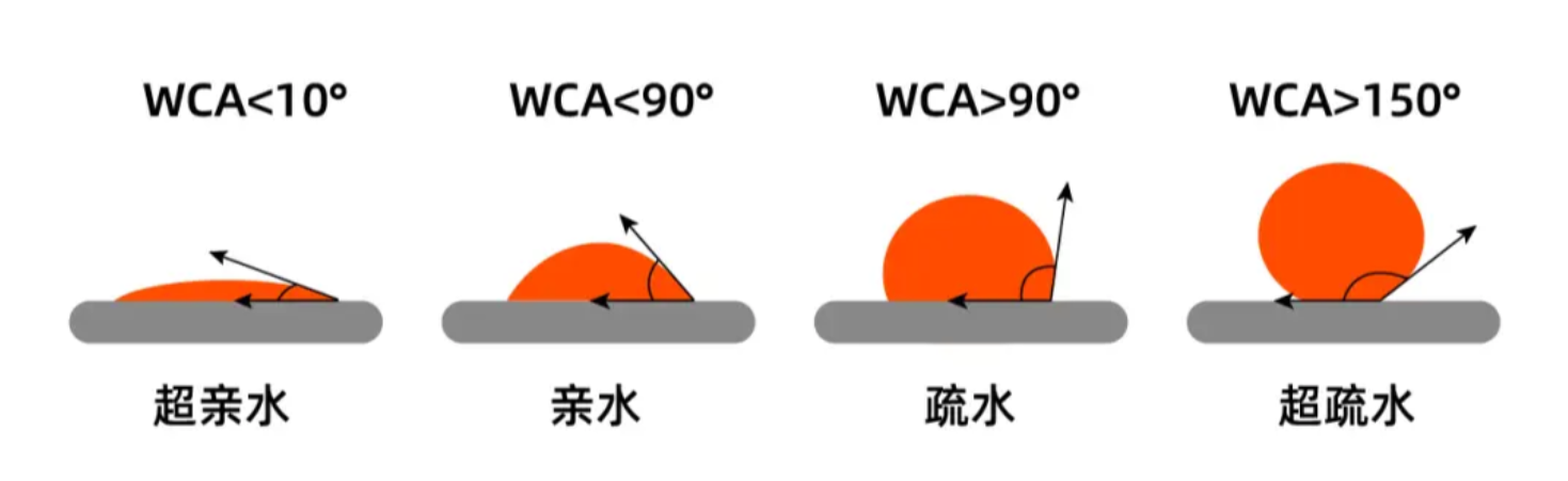 1778824780701946.png 親疏水.png